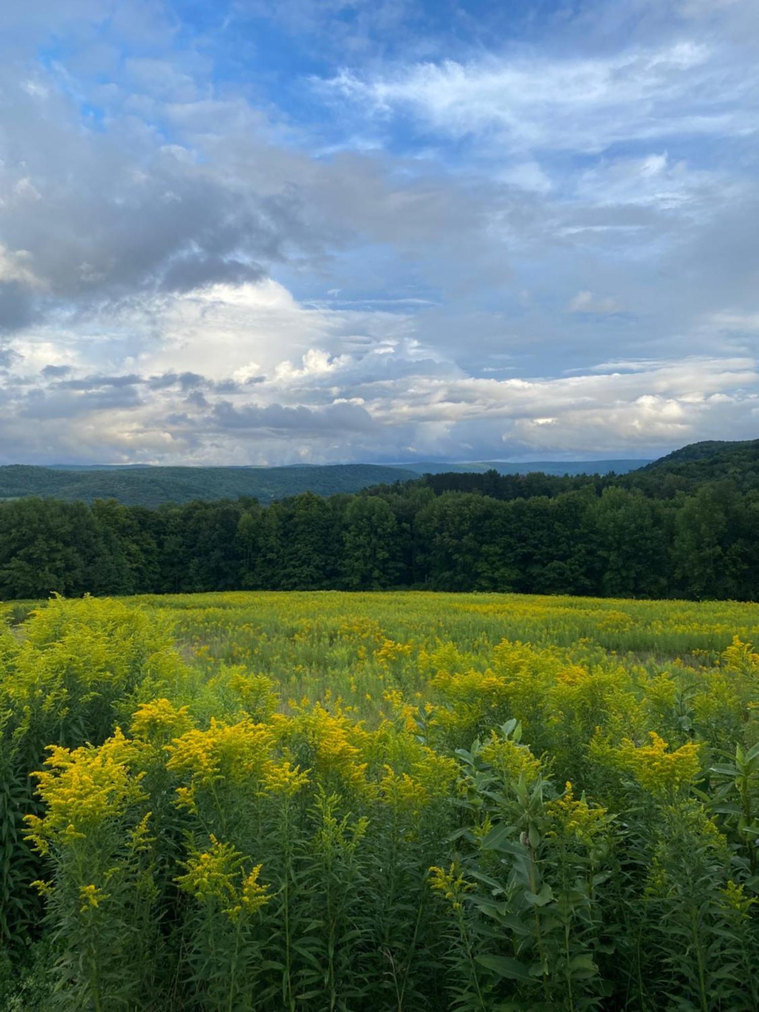 August Lodge Cooperstown Εξωτερικό φωτογραφία